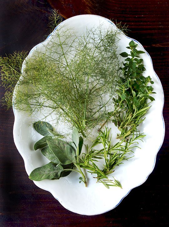 2012_07_02-Herbs.jpg