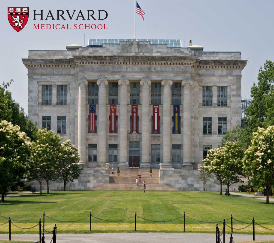 harvard-box